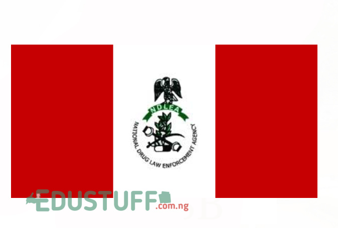 NDLEA Shortlisted Candidates for 2021 Recruitment is out | CheckPDF Shortlist